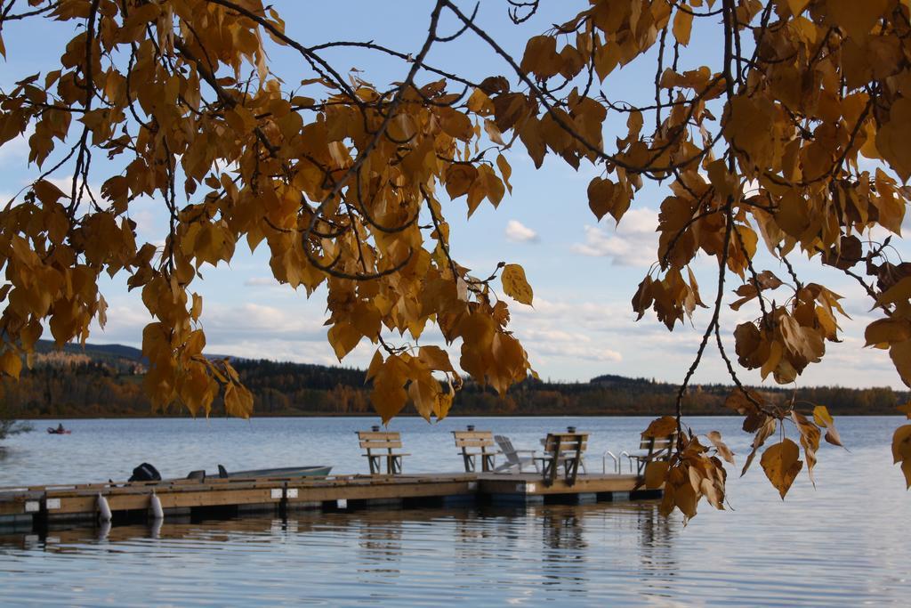 Robert'S Roost Rv Park Resort Кенель Экстерьер фото